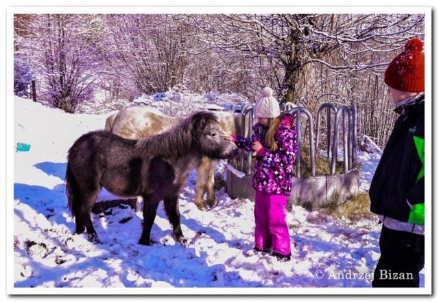 Cicha Woda Pieszyce Dış mekan fotoğraf